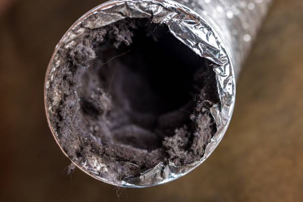 Best Air Duct Cleaning Company Near Me  in Helena West Side, MT