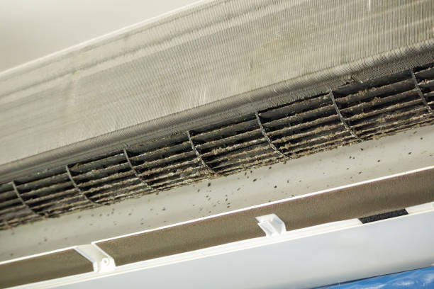 Best Residential Air Duct Cleaning  in Helena West Side, MT